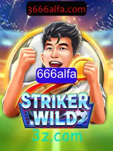 Explorando StrikerWILD: Regras e Elementos do Jogo